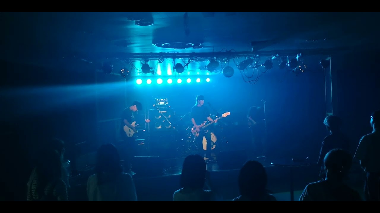 音速ばばあ 「Cats Around The Dog」