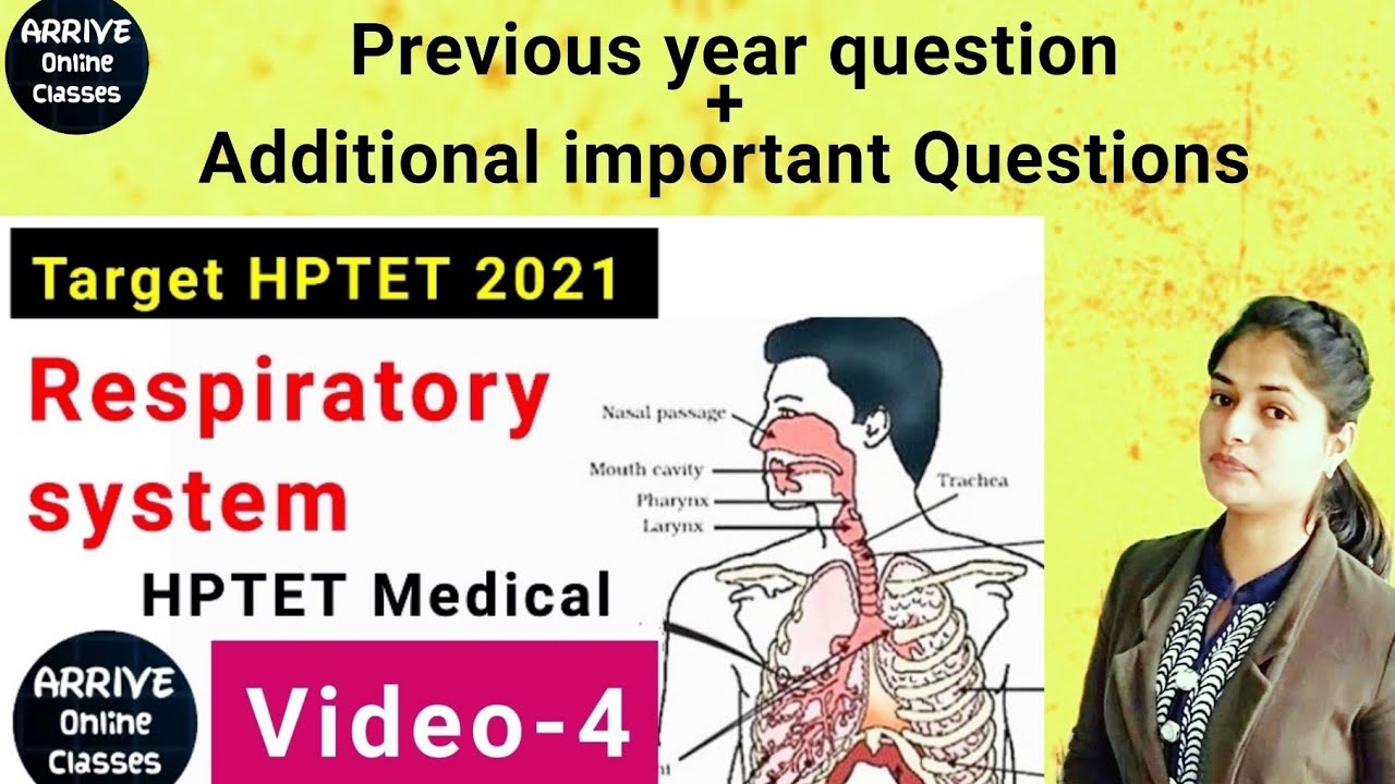 HP TET medical || Respiratory system | NEET || PGT biology || BIOLOGY || CTET || Very important MCQs