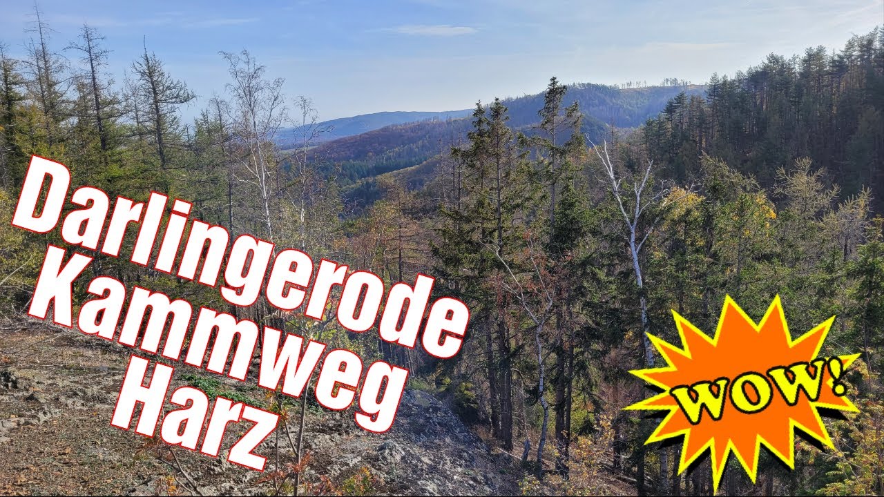 Kammweg Trail Darlingerode - Wandern im Harz #hiking #germany #wald #outdoors #forest #trip #walk
