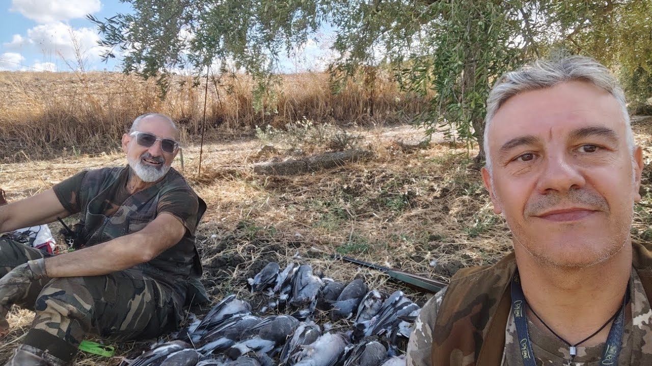 Seconda giornata di preapertura della caccia ai colombacci in Sicilia.               Prima parte ...