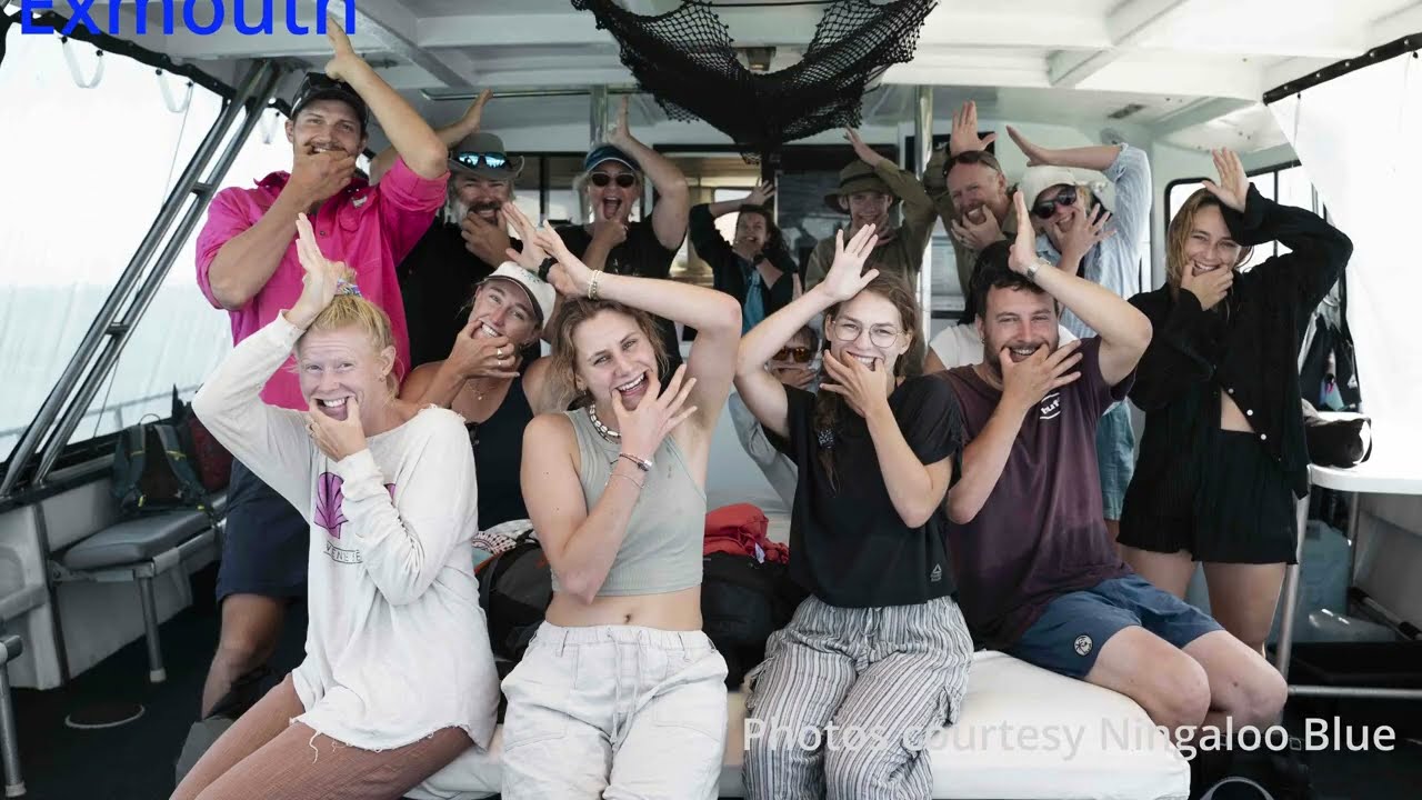 Whale Shark Adventure