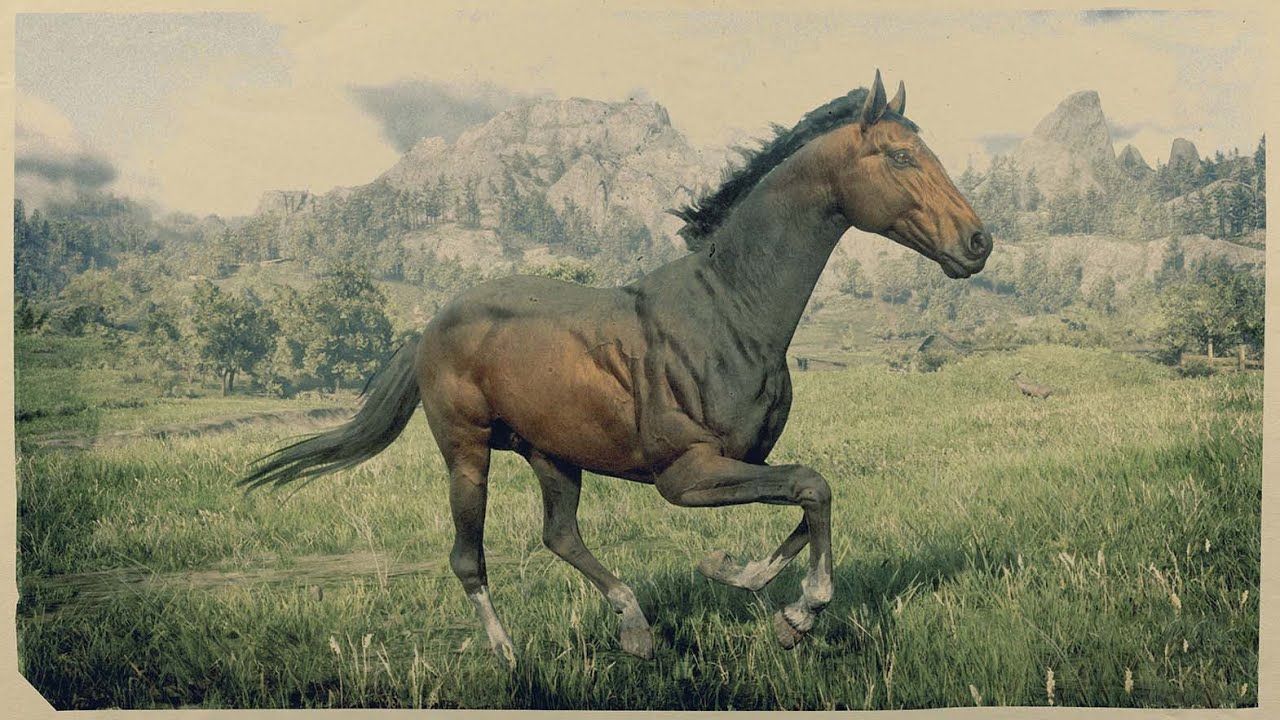 RDR2 Free Turkoman still works.