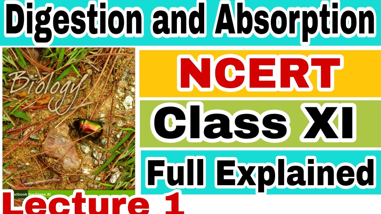 NCERT CH-16 DIGESTION AND ABSORPTION (HUMAN PHYSIOLOGY) Biology LECTURE 1 FOR NEET/AIIMS