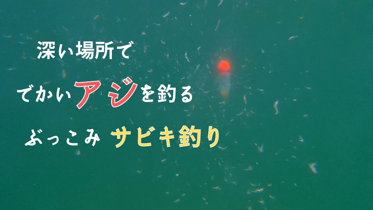 深場を探る釣り ぶっこみサビキ釣り 仕掛けの動き方　水中映像