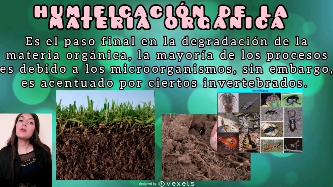 HUMIFICACI&Oacute;N DE LA MATERIA ORG&Aacute;NICA