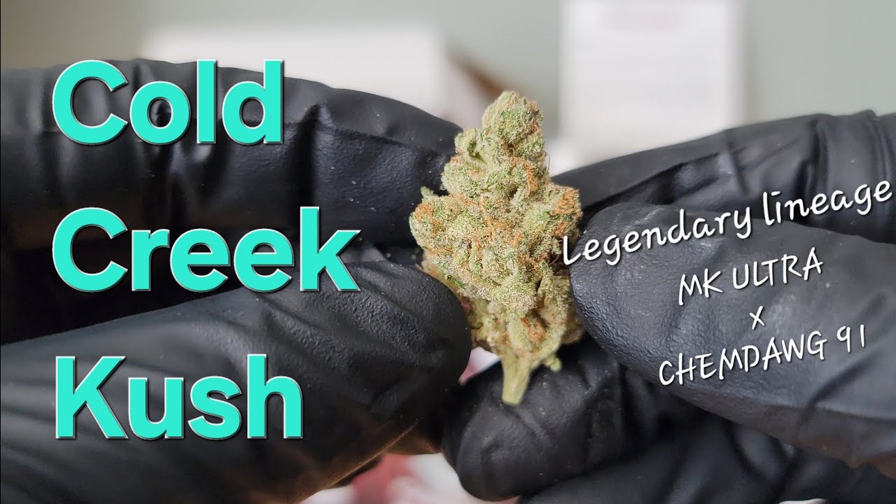 Cold Creek Kush - Trying Crysp's Tier 1 Flower - THCa Flower Review