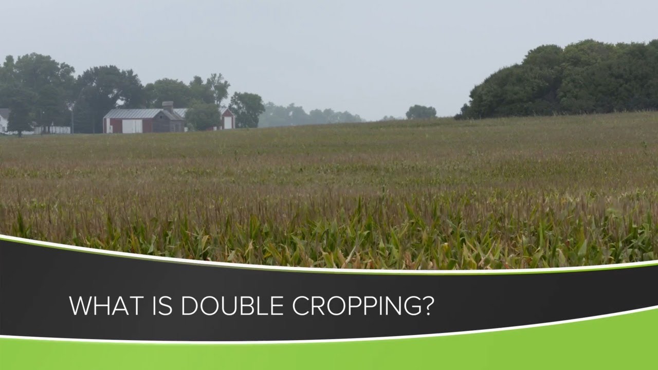 Double Cropping (From Ag PhD #1159 - Air Date 6-21-20)