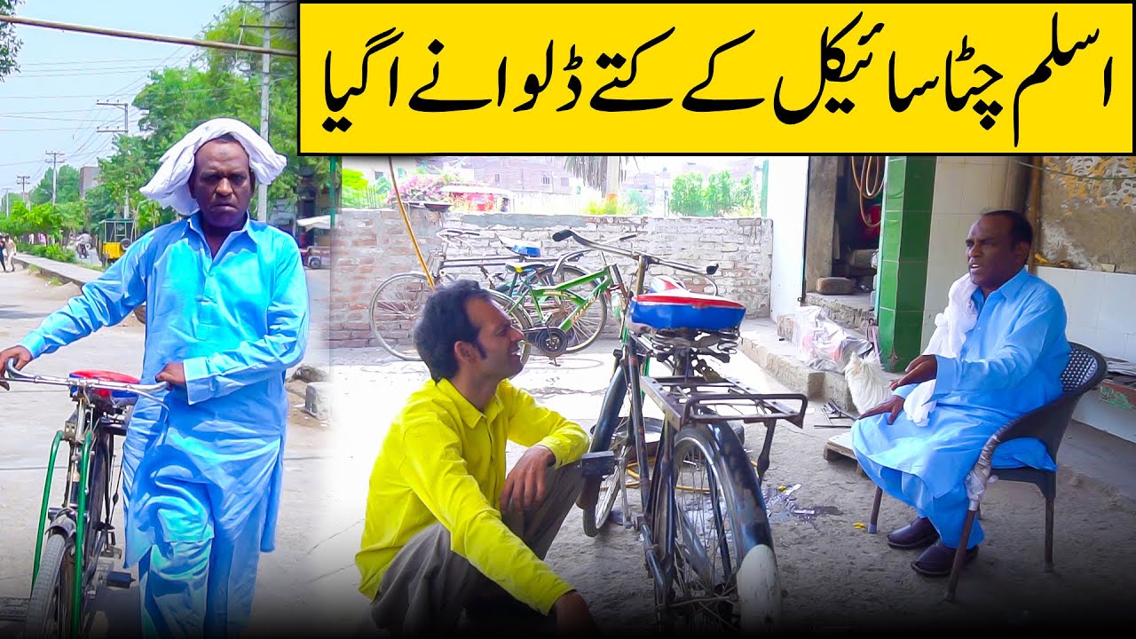 Cycle ke kutte🐶Dal Do🤣| Aslam Chitta New Comedy Video | #comedy