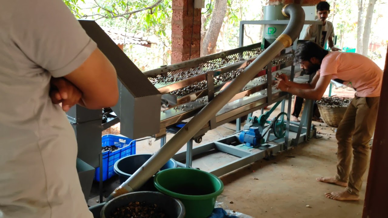 cashew scoping machine