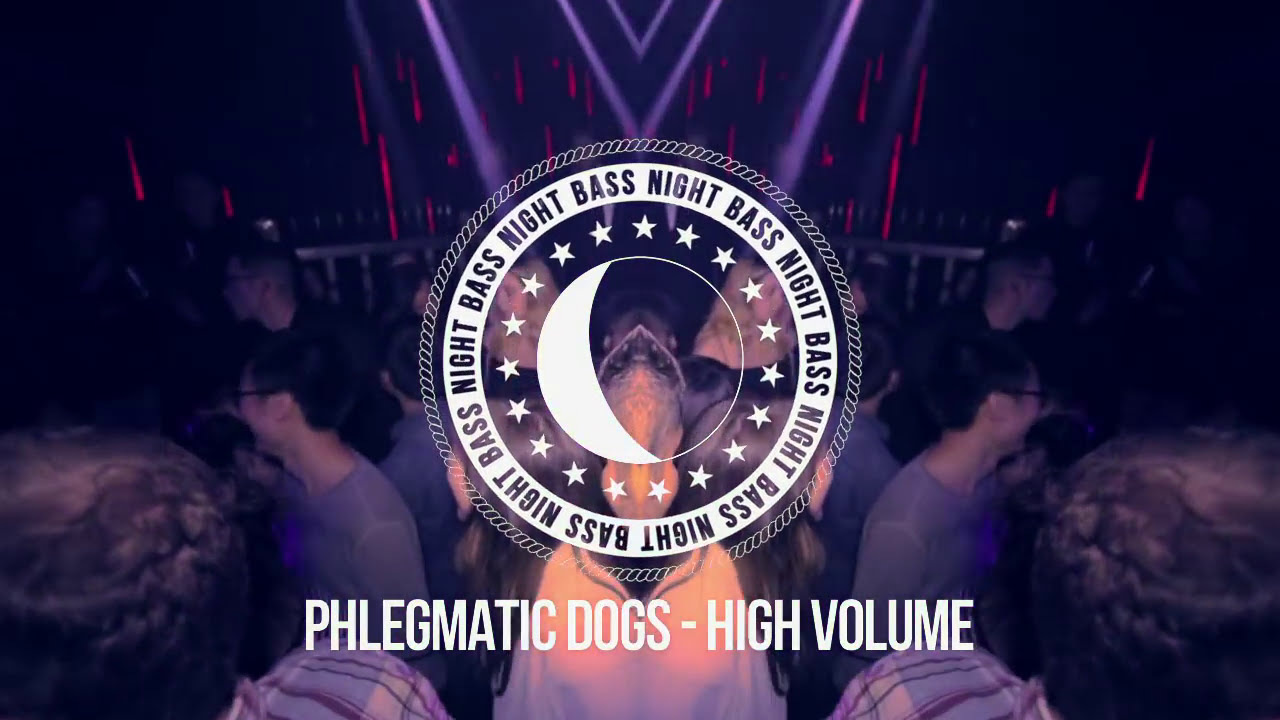 Phlegmatic Dogs - High Volume