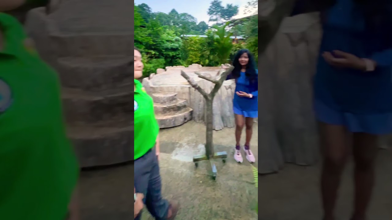 Night Safari Singapore #nightsafari #madai #shortvideo #shortsviral #shorts #short #zoo #viral