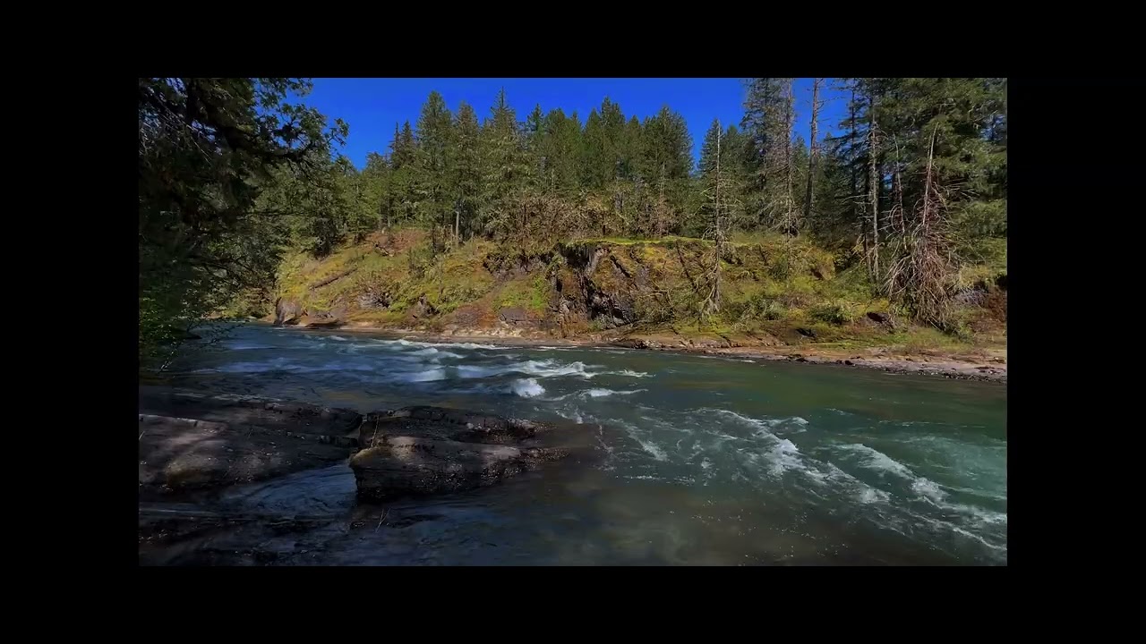 Mellow piano, tranquil nature.  My Medicine 5² - 
