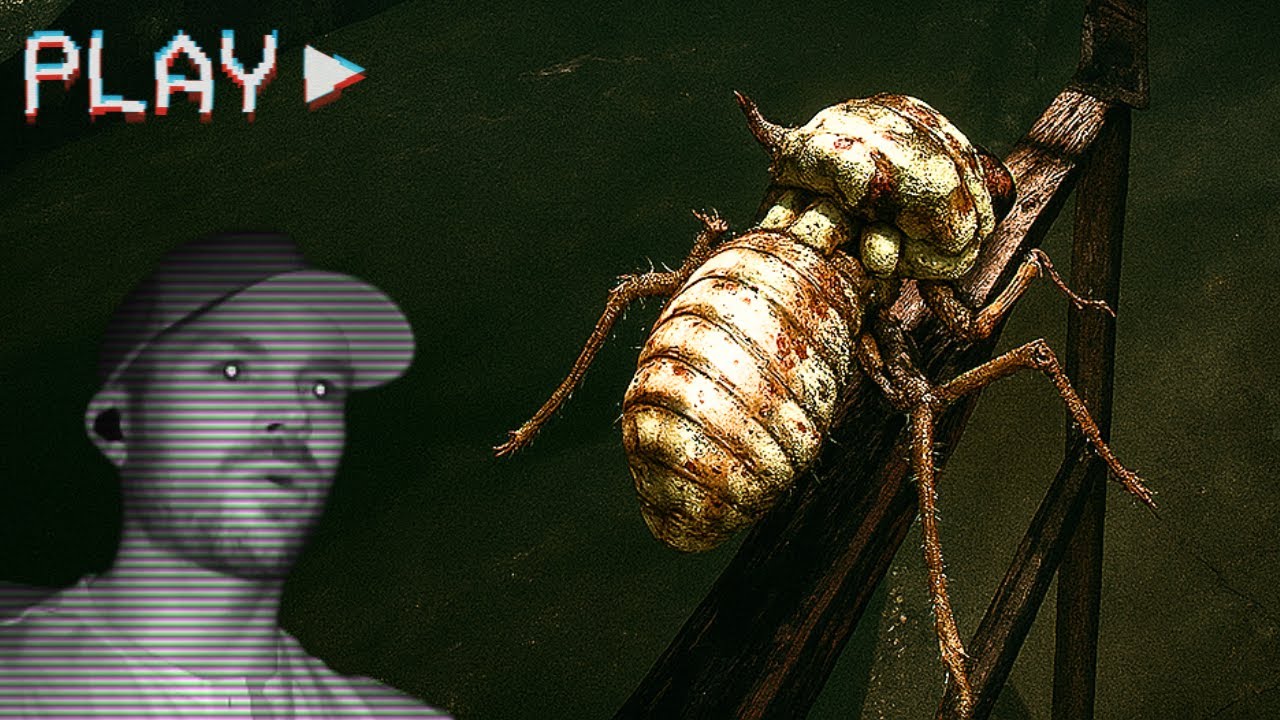 A Horror Game About A BUG...