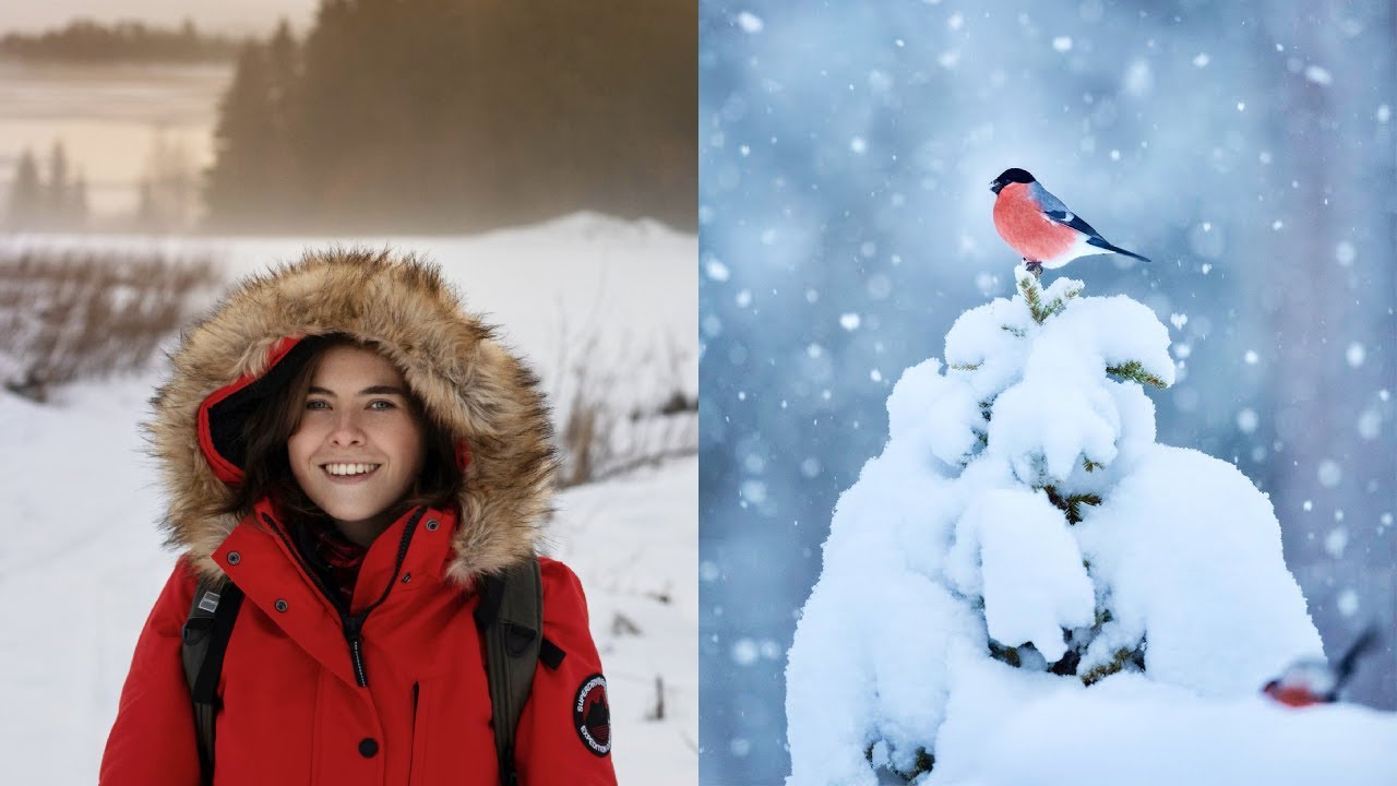 Wildlife Photography in Northern Sweden | Conny Lundstr&ouml;m WildShots Sweden Eagle Hides