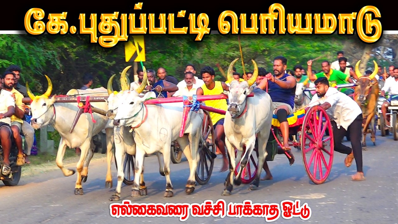 கே.புதுப்பட்டி பெரியமாடு பந்தயம் 25.02.2026