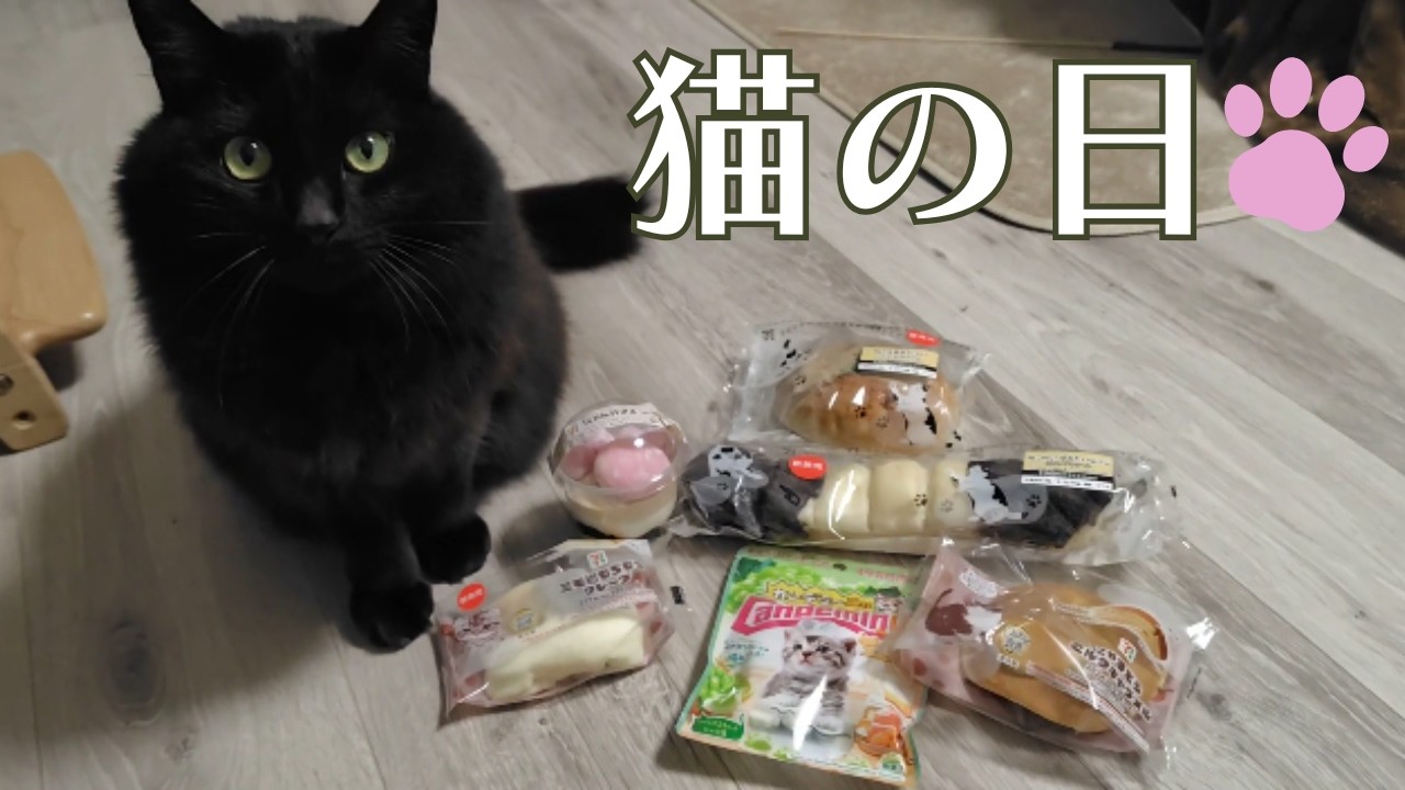 今日は猫の日！可愛い猫商品を黒猫と一緒に紹介してみた！【日常Vlog with BlackCat】