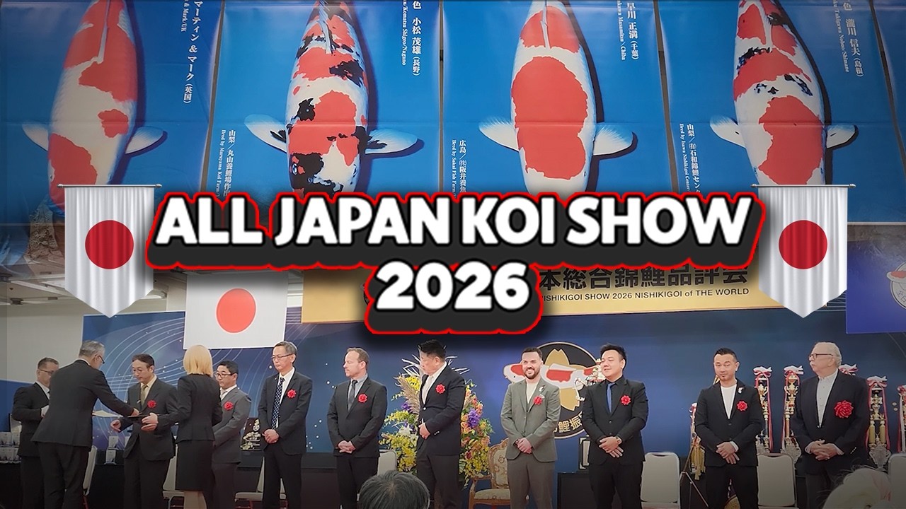 All Japan Koi Show 2026