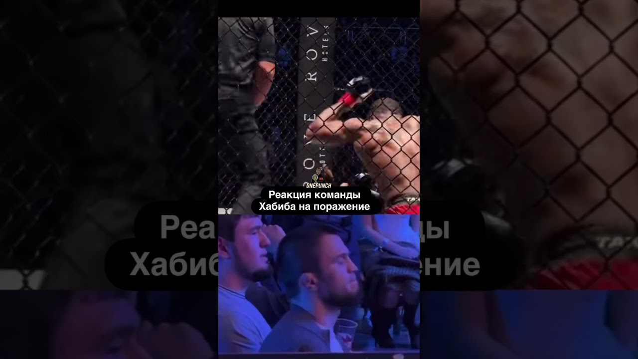 На турнире PFL в Дубае Касум Касумов потерпел досрочное поражение #ufc #islammakhachev #sport #pfl