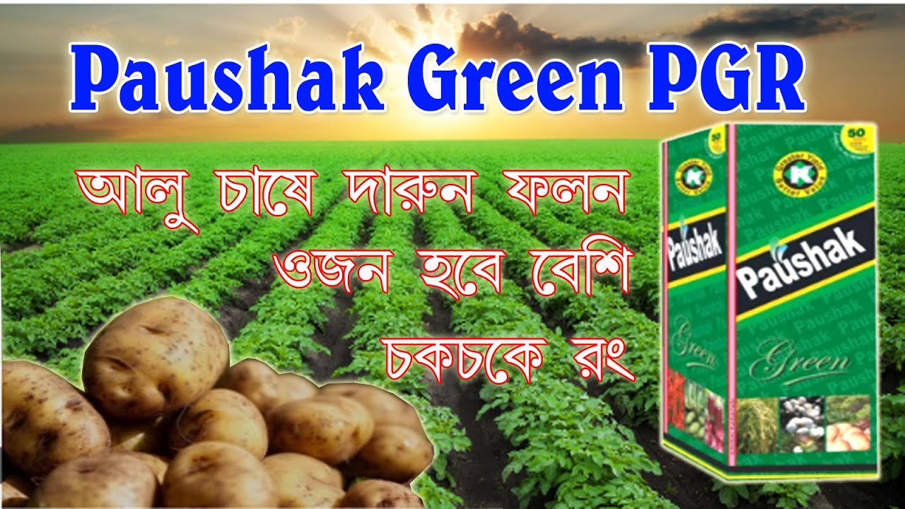 আলুতে পৌষক গ্রীন ব্যবহার | Paushak Green PGR I আলুতে কতদিনে এবং কত পরিমানে প্রয়োগ করবেন ? #pgr