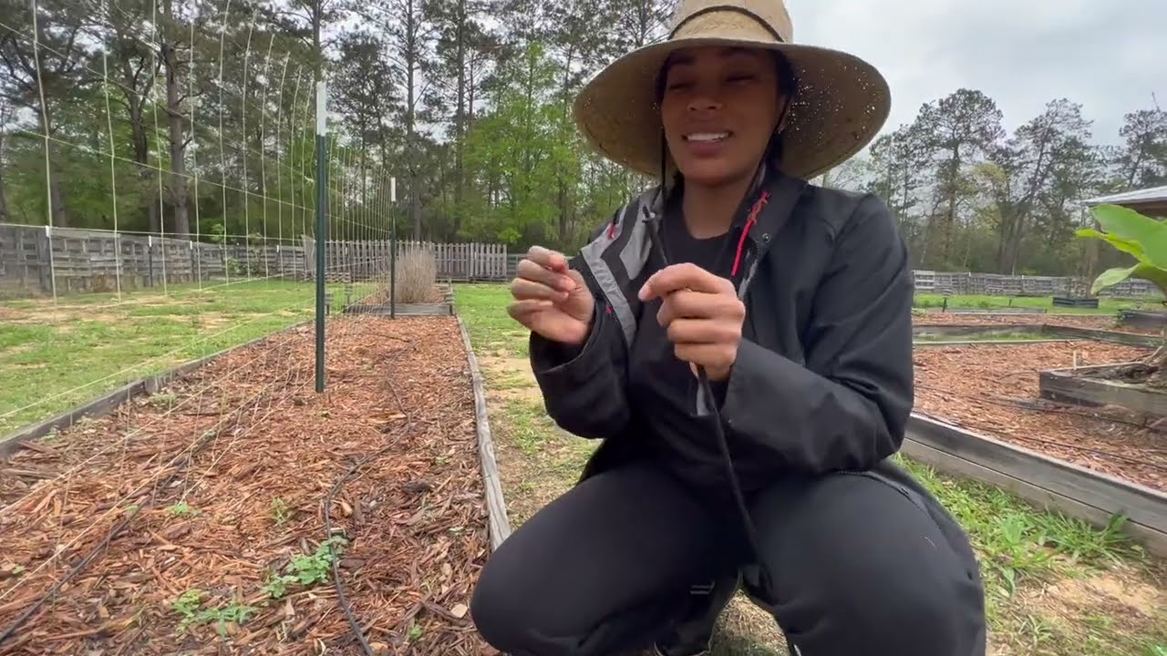 Camel Training + Garden Update | Dreka Gates