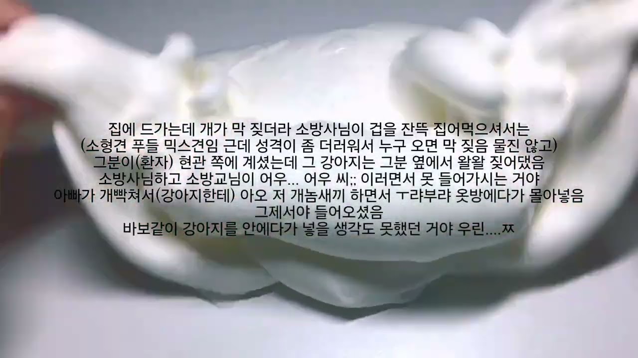119를 불신하게 된 이유 시리즈 액괴 소시액 우빈님 무영공 공사장 액체괴물 액괴소설 에스크 인스타 삶 체험 대시액 나폴리탄 소름썰 공포 디씨 에이블리 코디 추천 네이트판 고딕