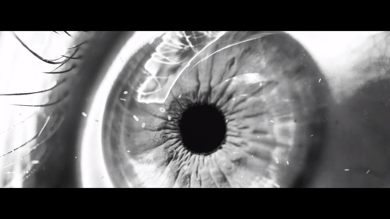 Common Vision - War With Myself