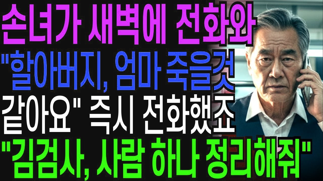 6살 손녀가 새벽2시에 전화와 '할아버지, 엄마 죽을것 같아요' 즉시 전화했죠 '김검사, 사람 하나 정리해'   오디오북   창작드라