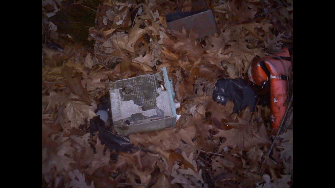 Air, Water, and Land