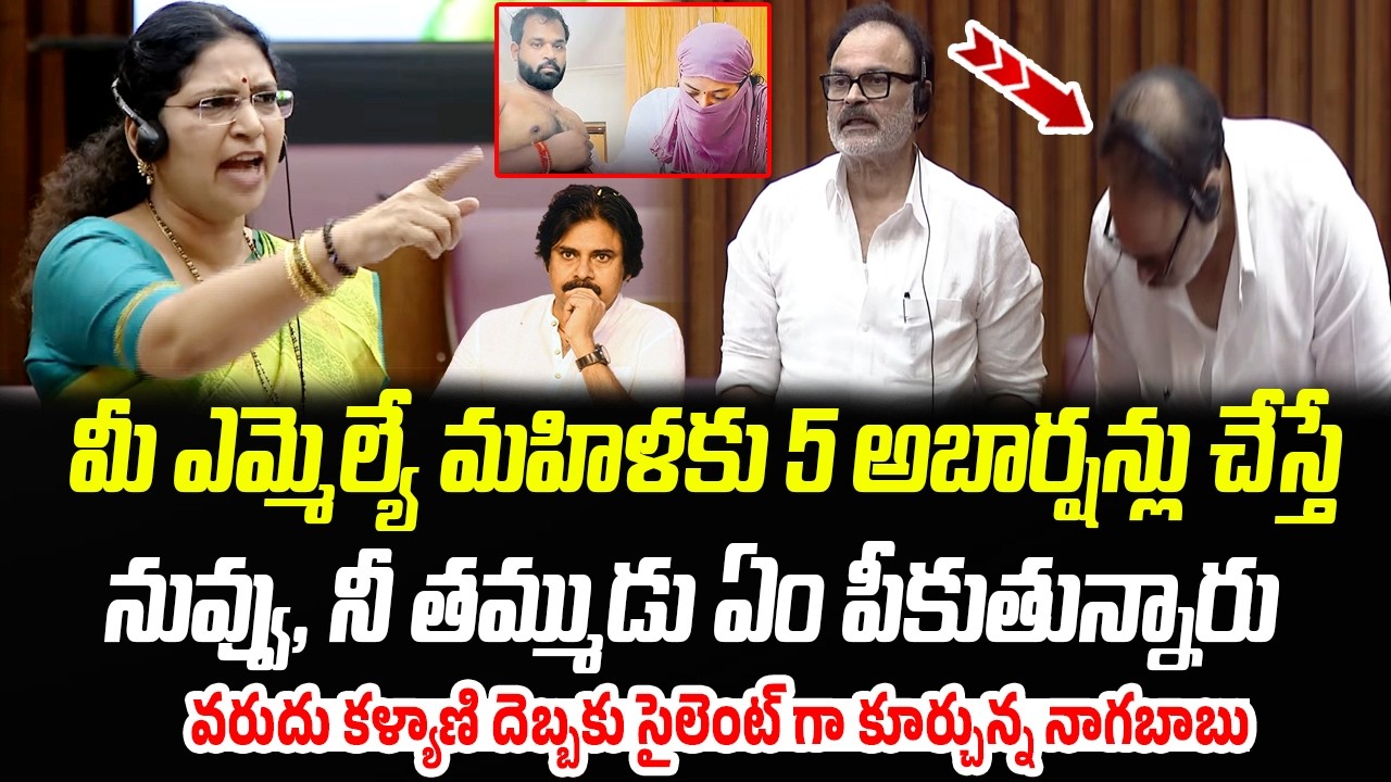 నువ్వు, నీ తమ్ముడు ఏం పీకుతున్నారు.. వరుదు కళ్యాణి దెబ్బకు సైలెంట్ గా కూర్చున్న నాగబాబు | PC