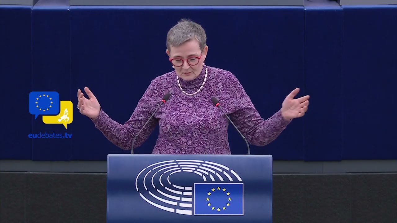 The Hidden Dangers of EU Migration Returns &ndash; What They&rsquo;re Not Telling You! MEP Birgit Sippel