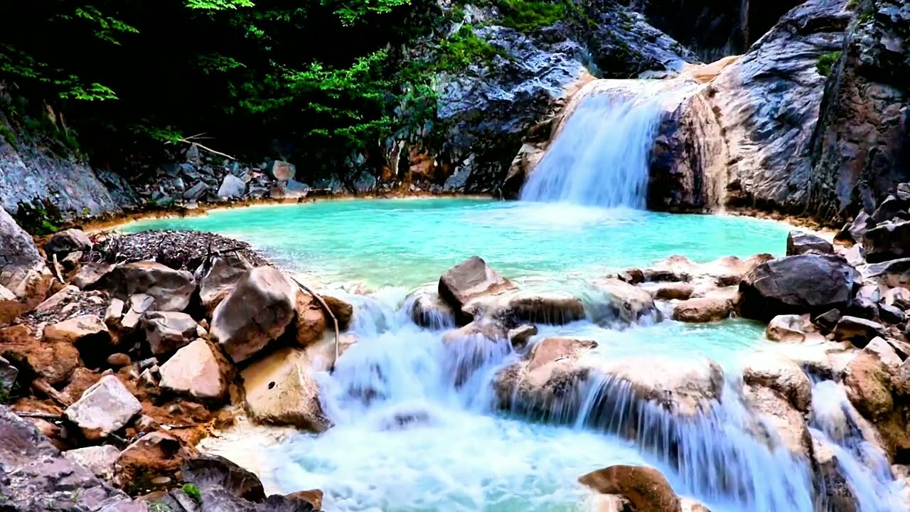 Nature Relaxation | Long Video for Stress Relief