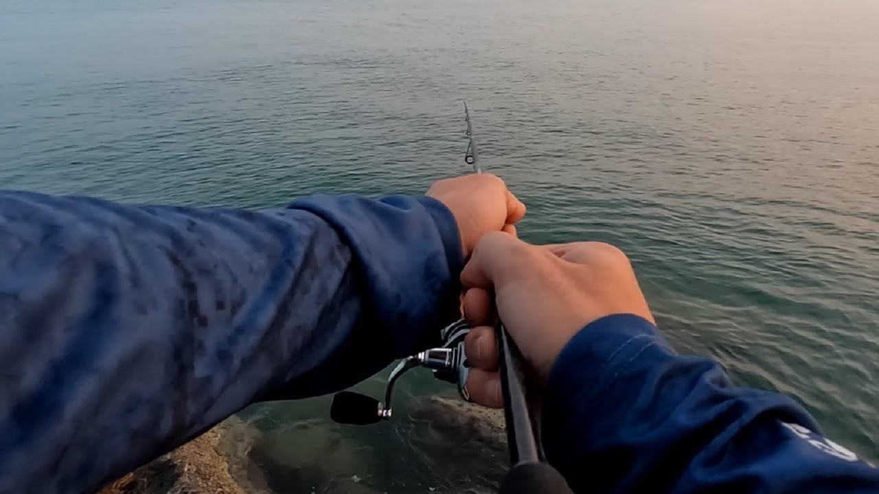 Ultra Hassas Lrf Takımı ile İstavrit Avı