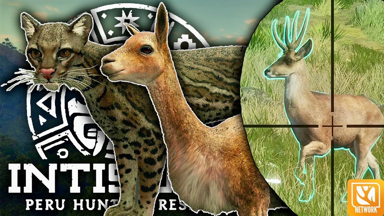 ПЕРВЫЕ ВПЕЧАТЛЕНИЯ ОТ INTISUYU В THE HUNTER: CALL OF THE WILD! ТРОФЕИ, ТЕСТ АРБАЛЕТА И МНОГОЕ ДРУ...