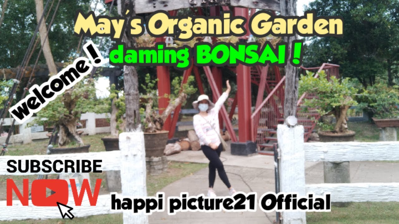 May's Organic Garden! Wedding venue! More in Bacolod City 2020-2021! Enjoy and relax!Happipicture21