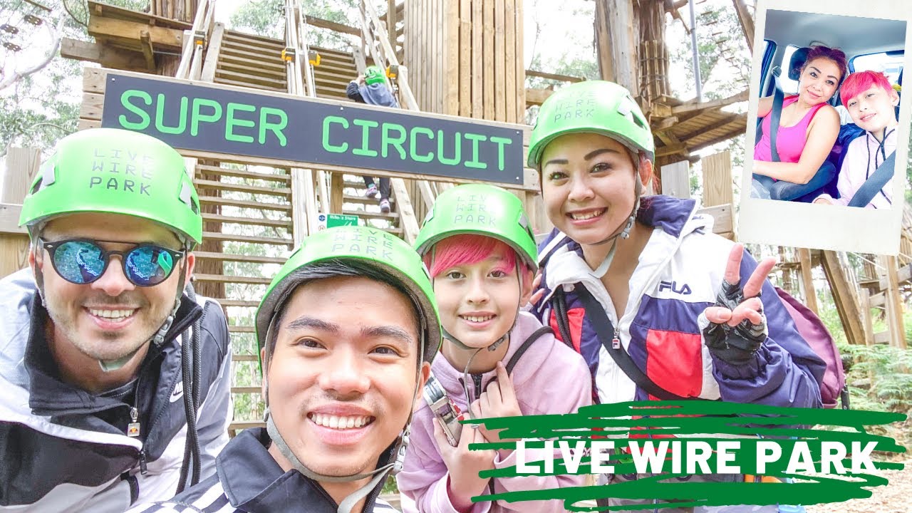 Elevated Adventure Park at LIVE WIRE PARK on Great Ocean Road LORNE