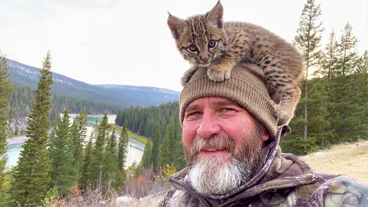 He Was Just Setting Up His Camera—Then the Bobcat Distribution System Chose Him