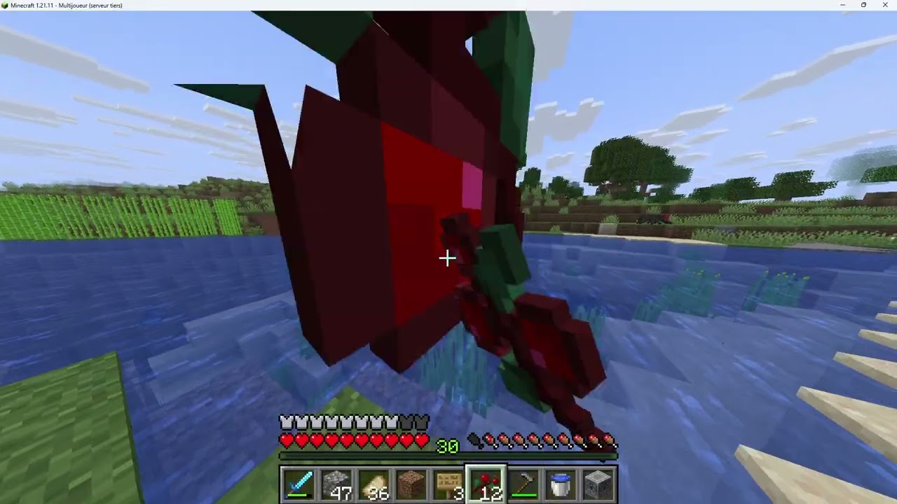 Je peux faire une ferme