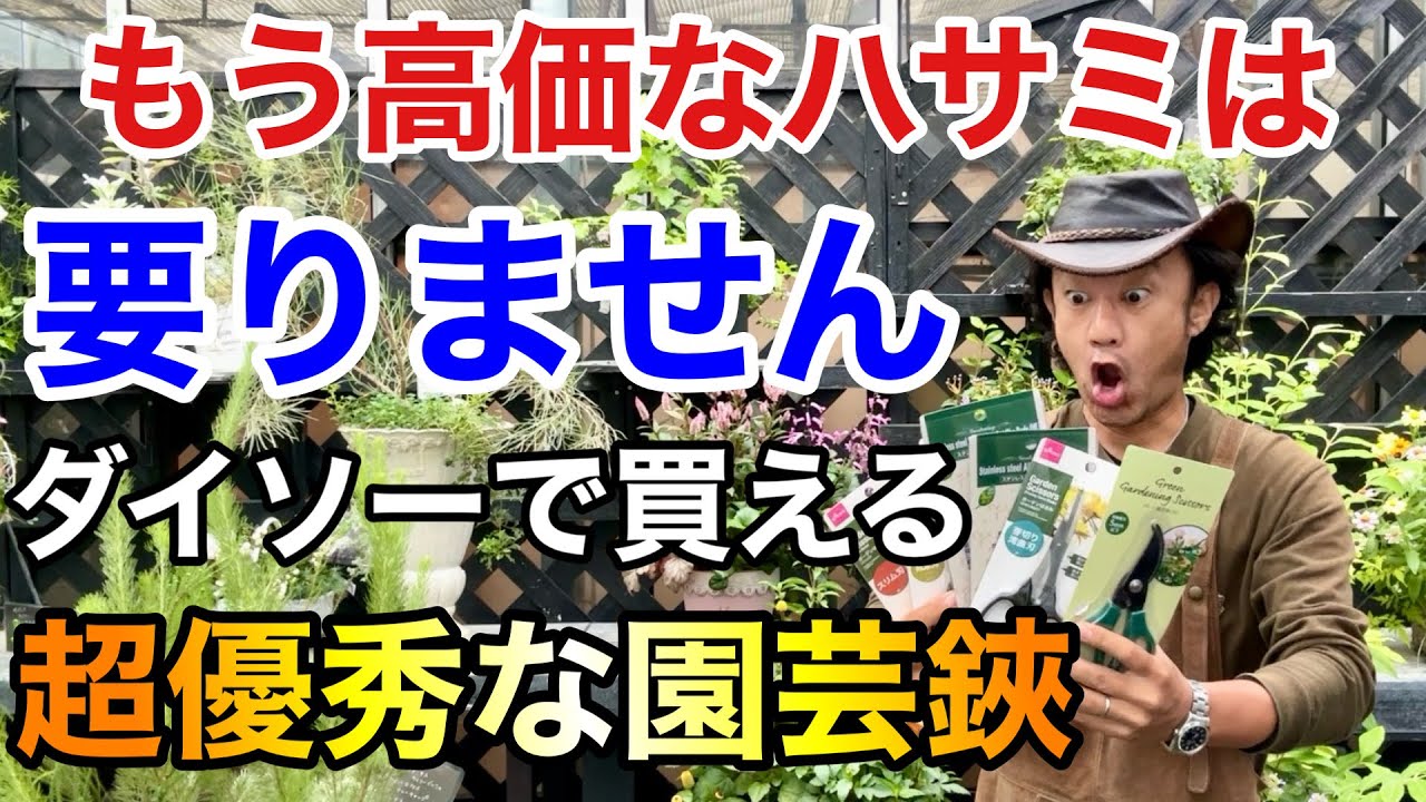 【ダイソー12種類】100均でめちゃくちゃ使える園芸用のハサミを見つけました　　　　　　　【カーメン君】【園芸】【ガーデニング】【レビュー】