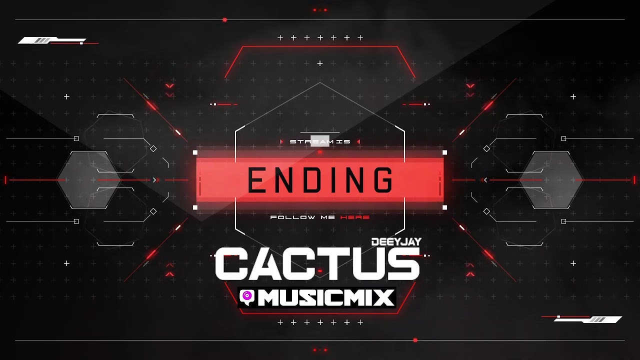 Cactus Latino & Afro Stream 2025