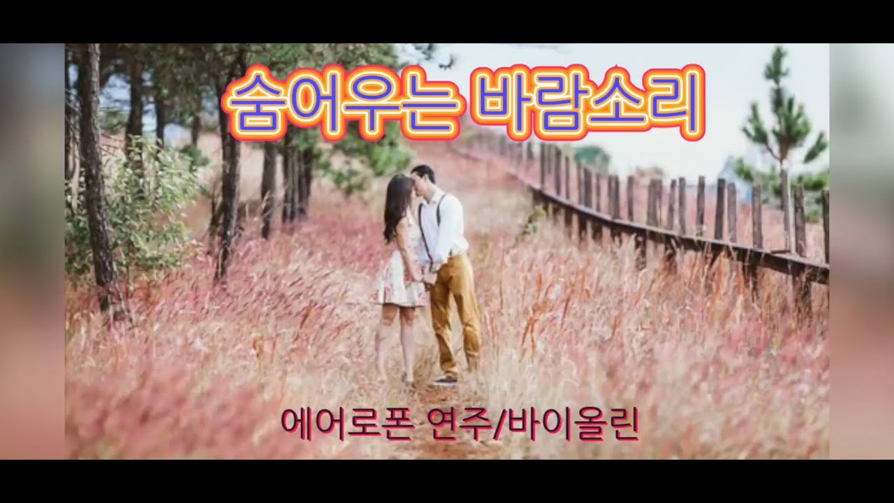숨어우는 바람소리  커버 ( 이정옥)   에어로폰 연주(바이올린)   김현지 임영웅/진해성