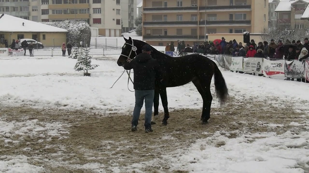 Lipo Des Champs SNEG/NHSG 2026 - Après-midi/Nachmittag