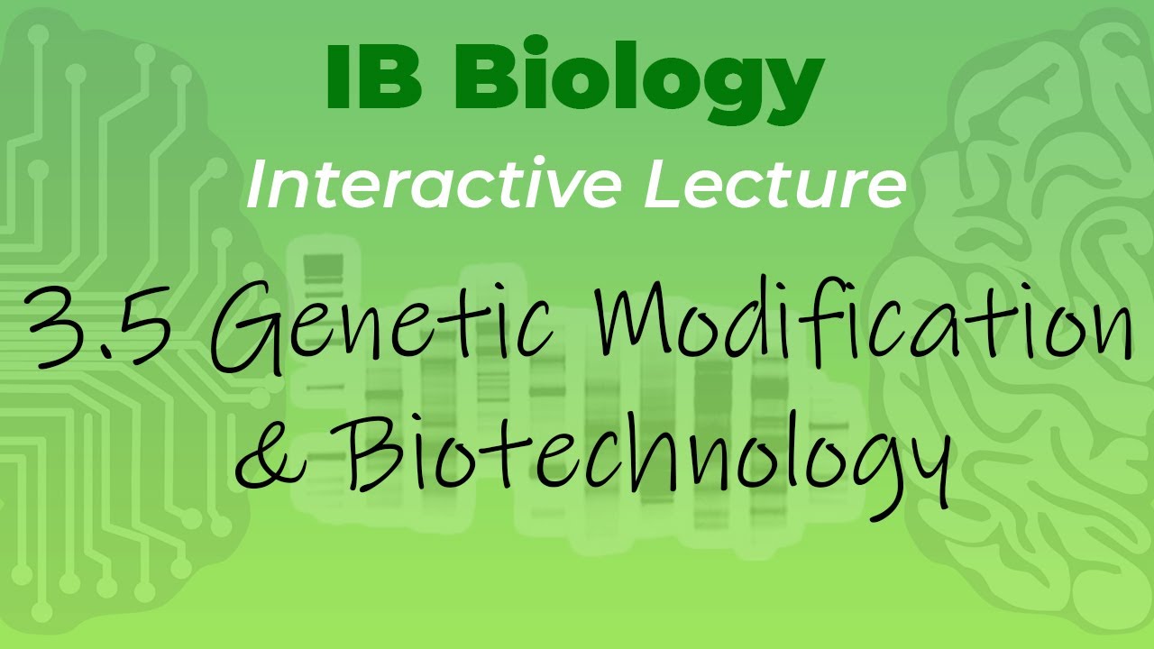 [OLD] IB Biology 3.5 - Genetic Modification & Biotechnology - Interactive Lecture