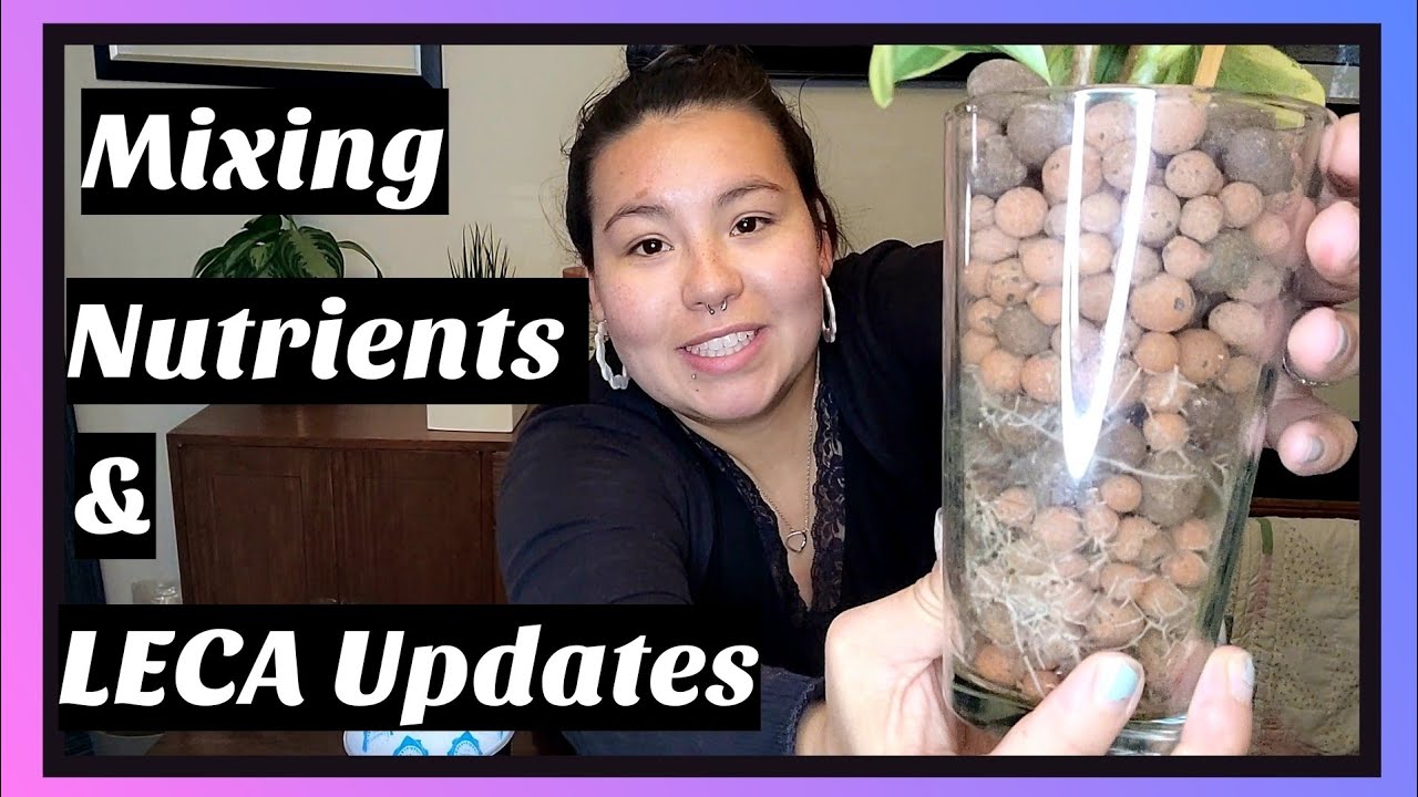 Mixing LECA Nutrients | LECA Updates
