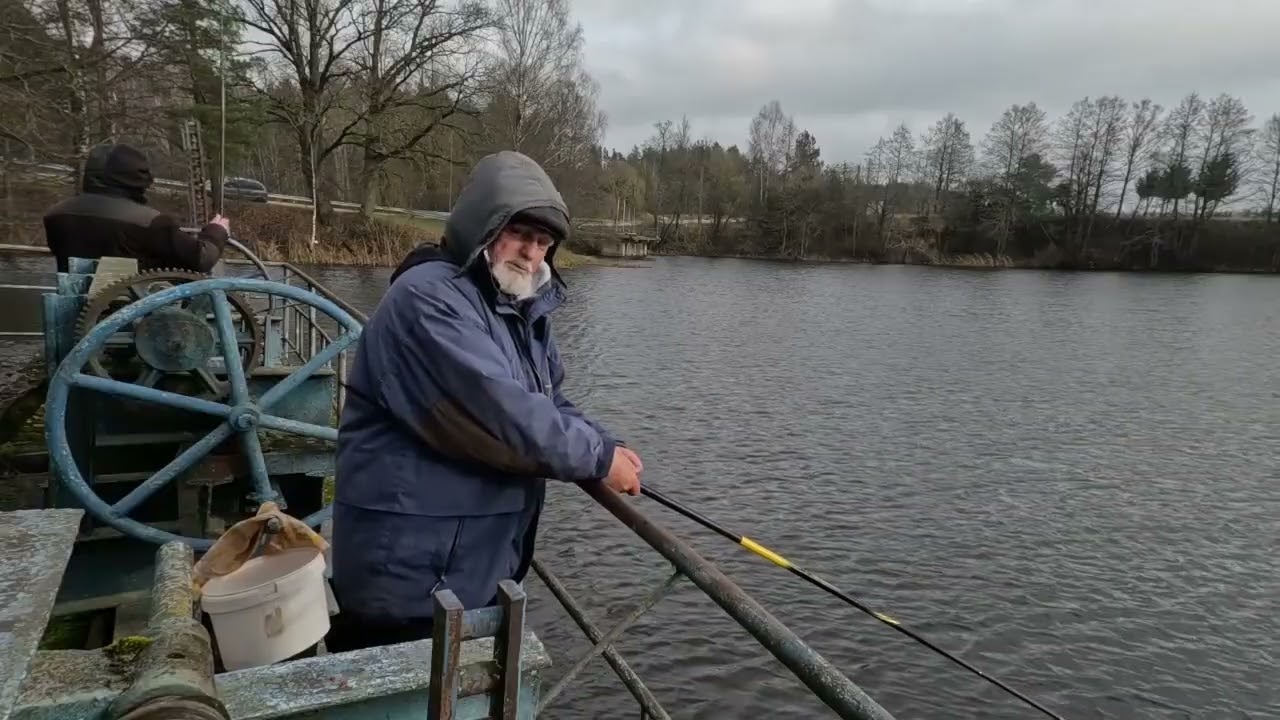 Aukšlinis ruduo