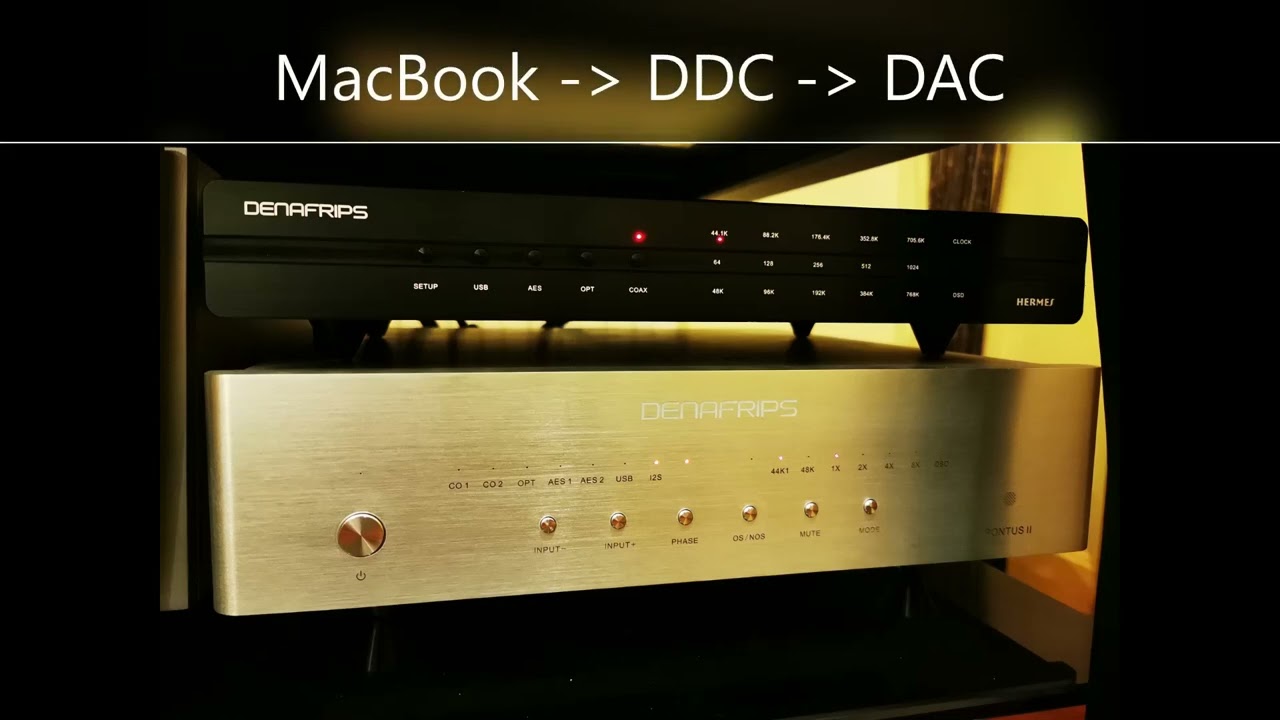 With / Without DDC (digital to digital converter) - Denafrips