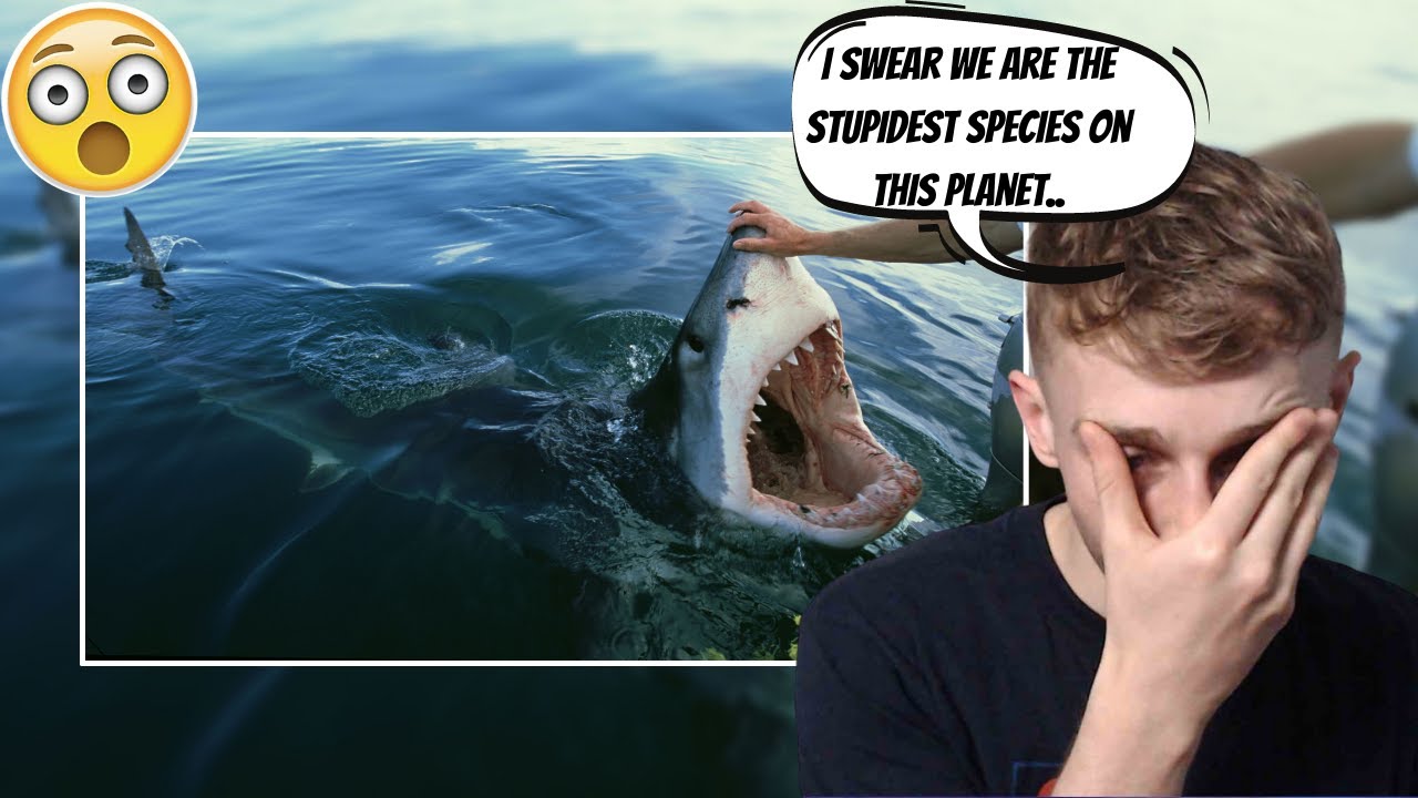 Reacting to Scariest Close Calls with Sharks😳 WHY ARE HUMANS SO STUPID?!?!