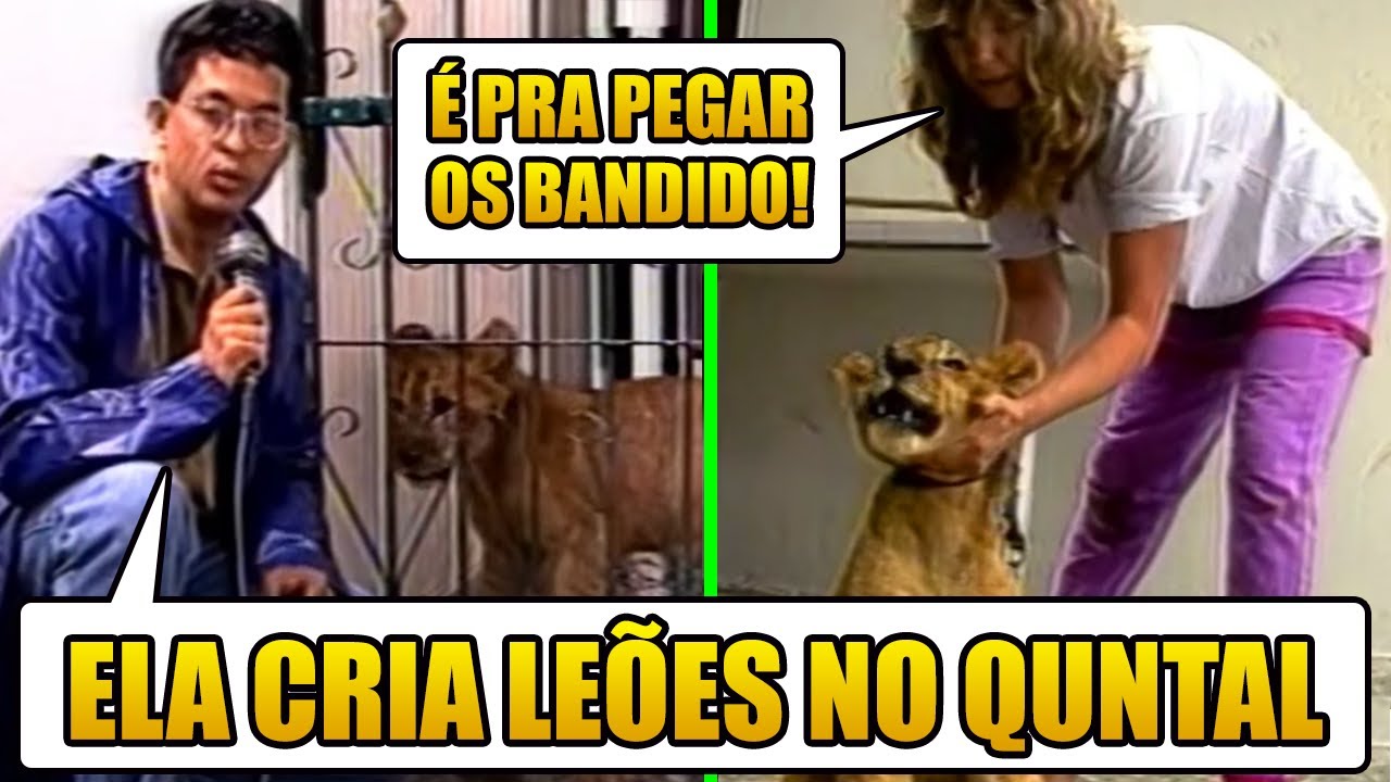 Os Momentos Mais ABSURDOS da TV! #25