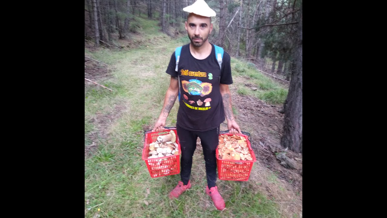 boletus y rebollones por teruel