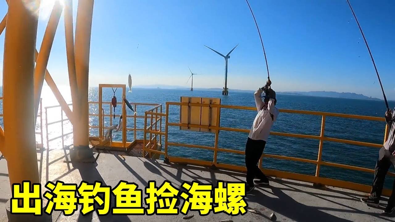 阿敏大潮水出海钓鱼捡螺，捡了满满一大桶，今晚的晚饭有着落了！#农村生活#海钓