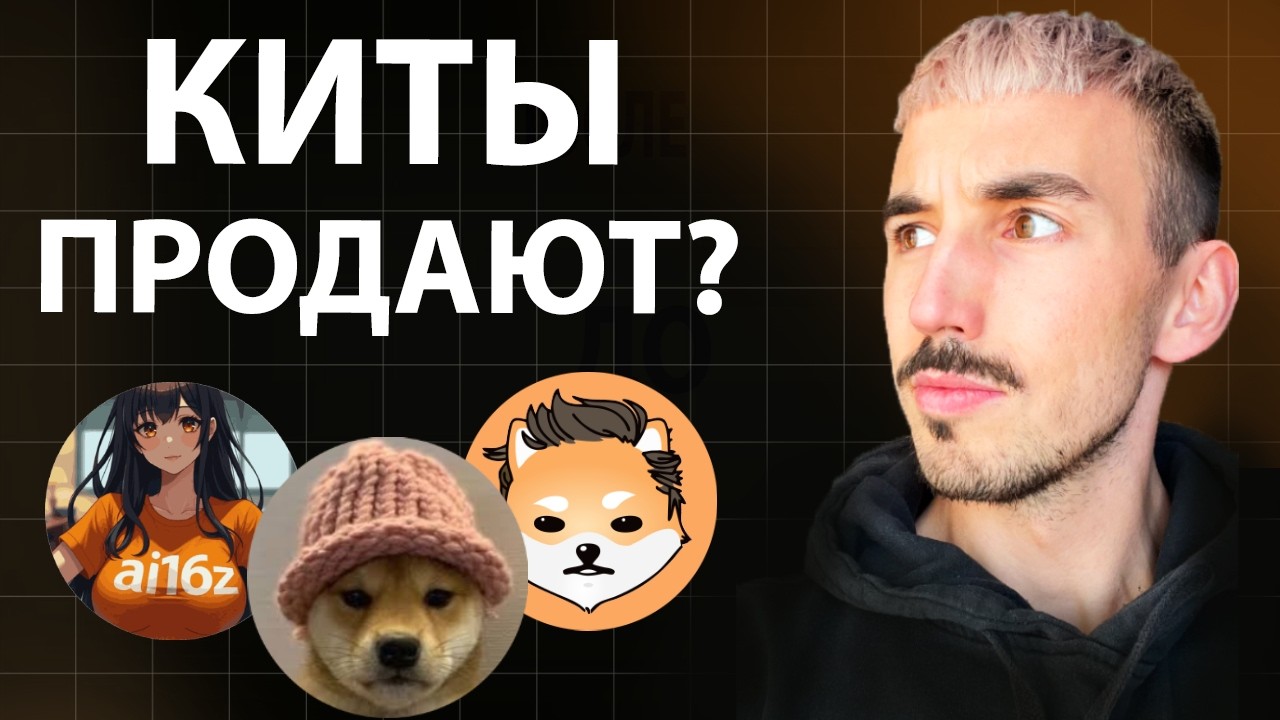 Ончейн Инсайды по WIF, AI16Z и ELON &mdash; Что Делают Смарт-Кошельки?